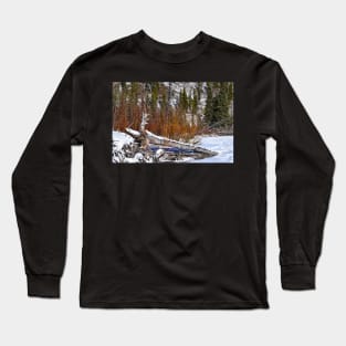 Fire Bush Long Sleeve T-Shirt